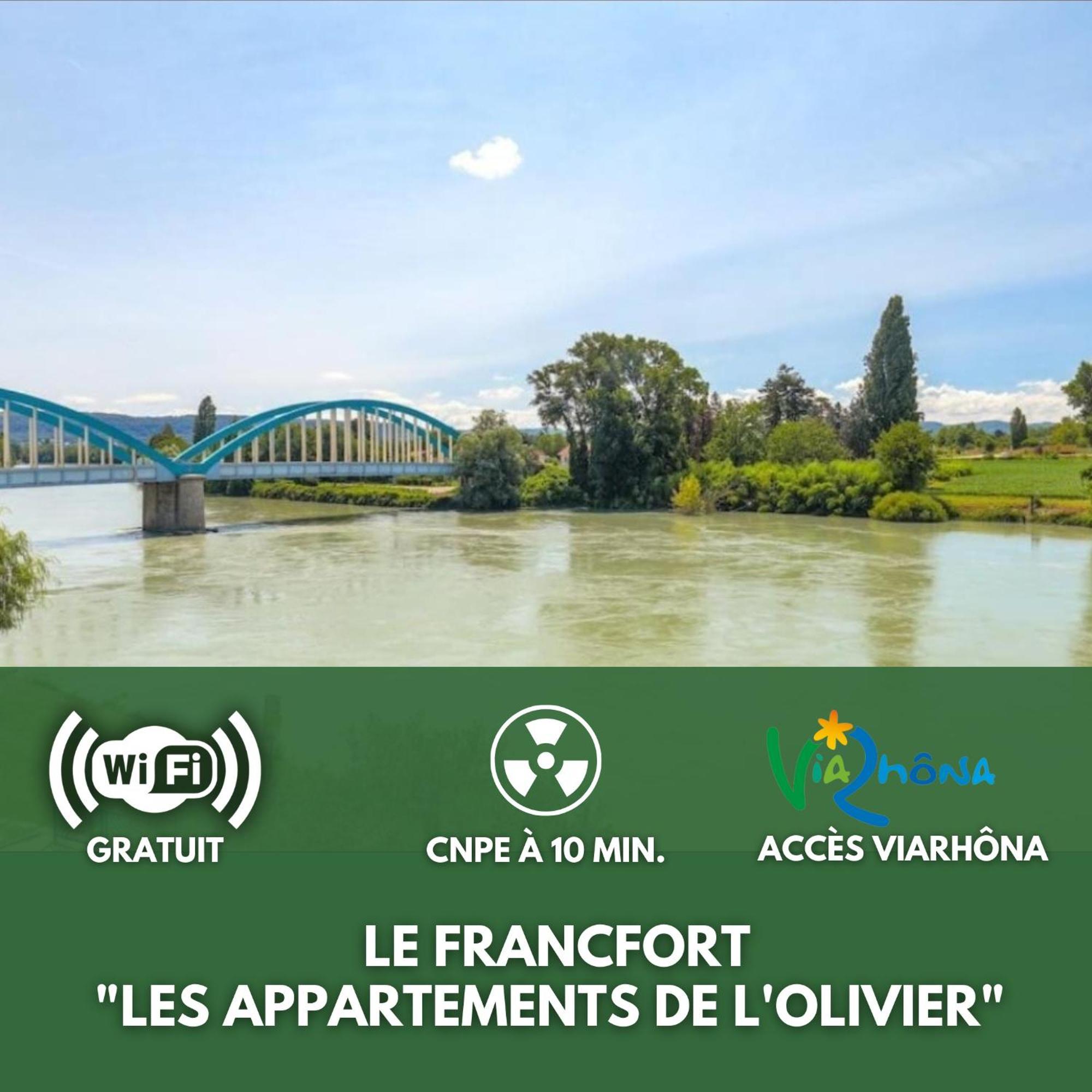 Le Francfort - Les Appartements De L'Olivier Loyettes Екстериор снимка
